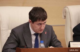 программа махонина