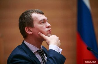 Дегтярев митинги