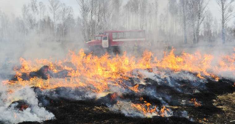 Губернатор Югры Комарова поездка Советский район Югорск лесные пожары