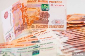 сколько зарабатывает глава тюменской счетной палаты