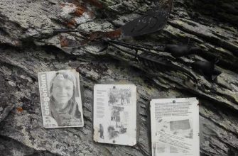 перевал дятлова первый канал новые свидетели