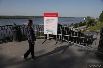 политологи определили победителей на довыборах