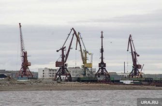 премьер министр Хасан Диаб