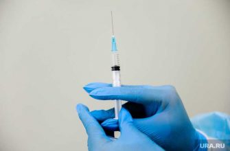 когда начнется оборот вакцины от коронавируса