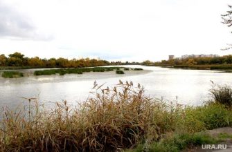 В Тюмени нашли одного из двух утонувших братьев