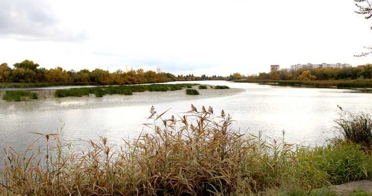 В Тюмени нашли одного из двух утонувших братьев