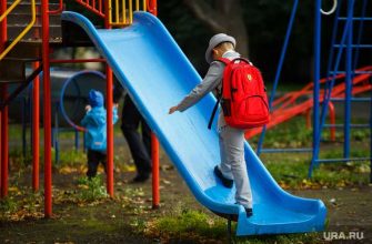 Свердловская область портфель школа стоимость 2020 год