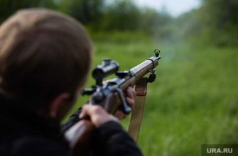 сысерть браконьеры стреляли егеря охотоведы собр стрельба суд