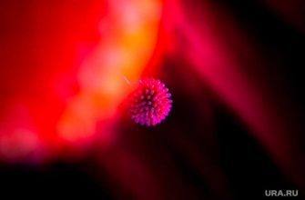 школьники не болеют коронавирусом