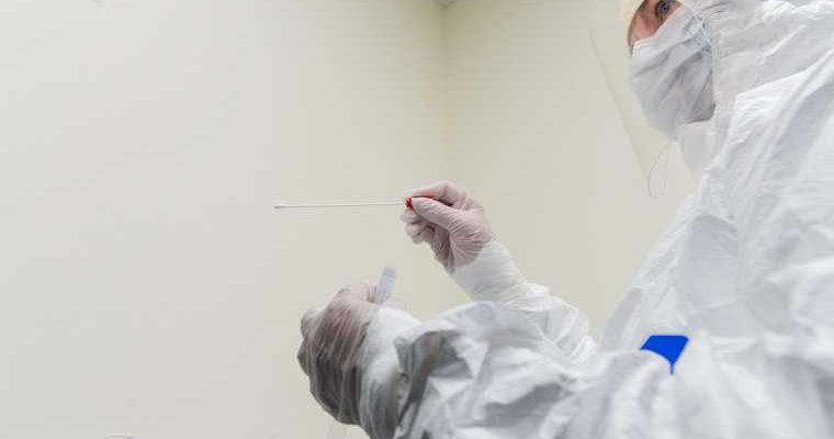 срок сдачи теста на коронавирус