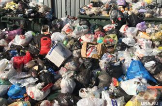 ЯНАО Новый Уренгой домашние насекомые откуда взялись тараканы