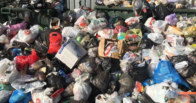 ЯНАО Новый Уренгой домашние насекомые откуда взялись тараканы