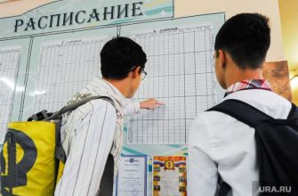 Челябинская область дистанционное обучение