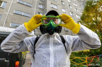 коронавирус статистика Свердловская область