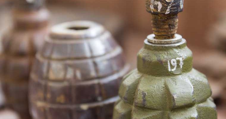 в Курганской области нашли гранату