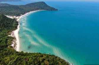 экологическая катастрофа на Камчатке