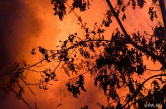 Рязанская область склад боеприпасы горит пожар взрыв видео что происходит