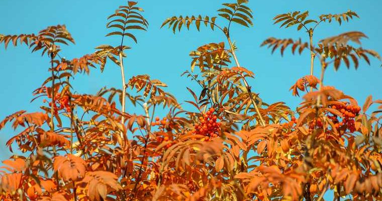 Тюмень прогноз погоды ближайшие дни