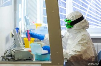 уязвимое место коронавирус