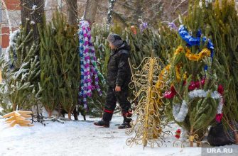 где купить елку Курган