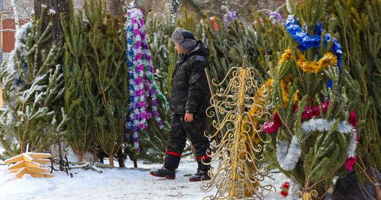 где купить елку Курган