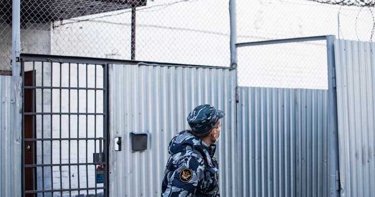 коронавиурс колонии Пермского края
