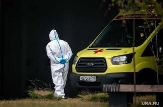 Коронавирус последние новости 20 ноября