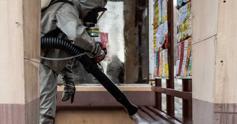 коронавирус ЯНАО аномальная смертность