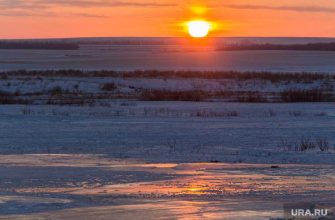 полярные регионы