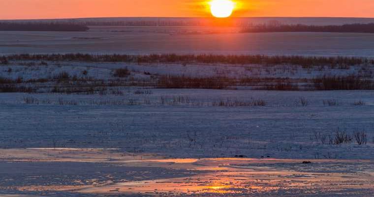 полярные регионы