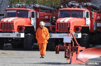 выборы уборщица выиграла Памфилова Путин