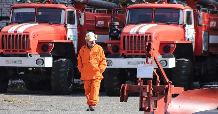 выборы уборщица выиграла Памфилова Путин