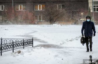 Челябинская область Челябинск прогноз погода 10 11 12 13 14 ноября