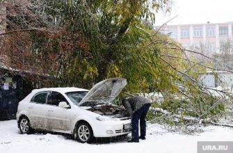 Незамерзающая жидкость роспотребнадзор советы