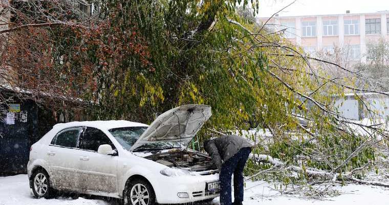 Незамерзающая жидкость роспотребнадзор советы
