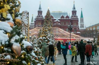 звезды поздравления