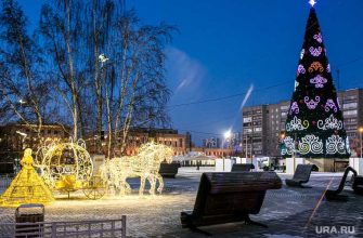 коронавирусные ограничения