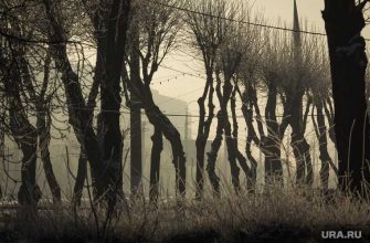 зима 2021 прогноз