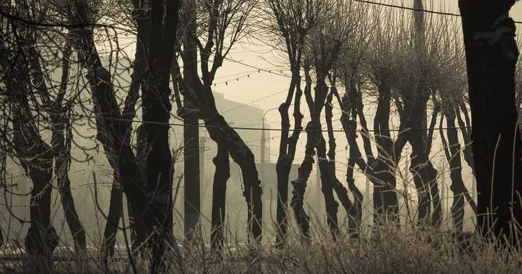 зима 2021 прогноз