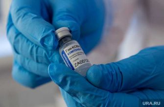 Министр Мурашко назвал срок поставки вакцины от коронавируса Спутника V во все регионы