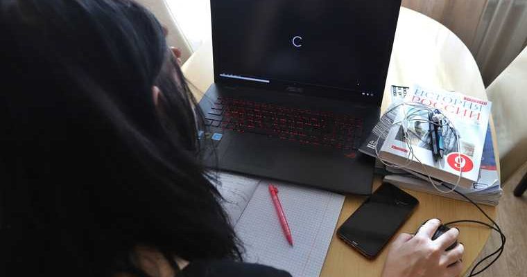 Фальков дистанционное обучение снижение стоимости