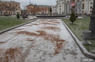 ледяной дождь гололед погода зима