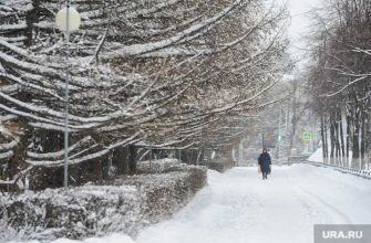 научный руководитель Гидрометцентра Роман Вильфанд