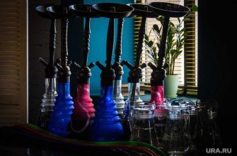 запреты в Курганской области