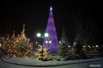 заложники сахалин