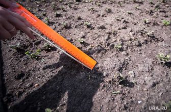 бесплатные участки тюменская область