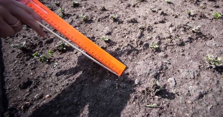 бесплатные участки тюменская область