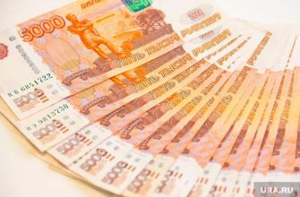 советы рекомендации Всемирный банк