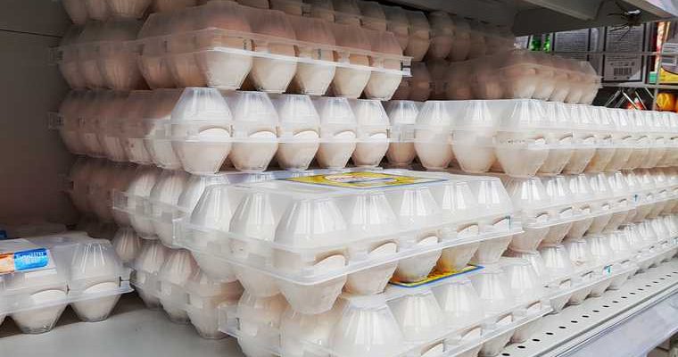 эпидемия птичий грипп Россия куриные яйца дорожают