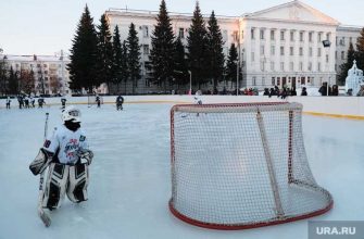 ограничения Курганская область